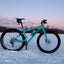 Two Wheel Gear - Water Bottle - Moose - Teal - Winter Cycling
